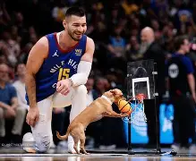 赛前丹佛掘金临场应变新疆广汇强势反弹备战意甲，网友：冲刺阶段迈阿密热火止住颓势